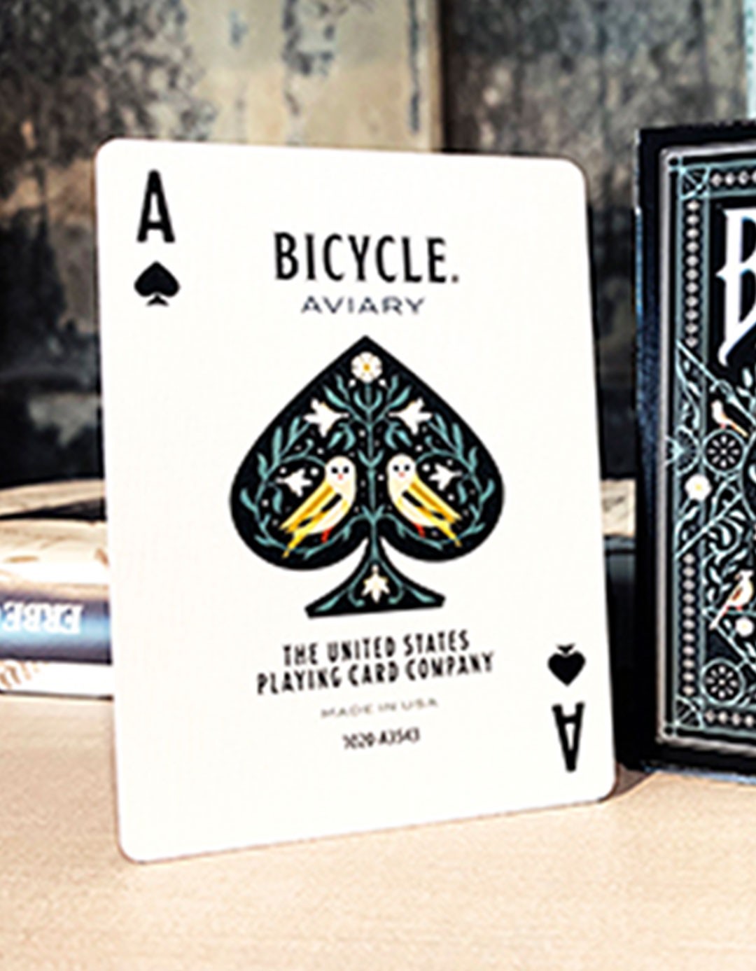 Bicycle - Aviary - Carti de joc