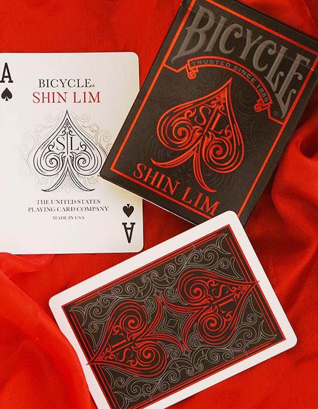 Bicycle - Shin Lim
