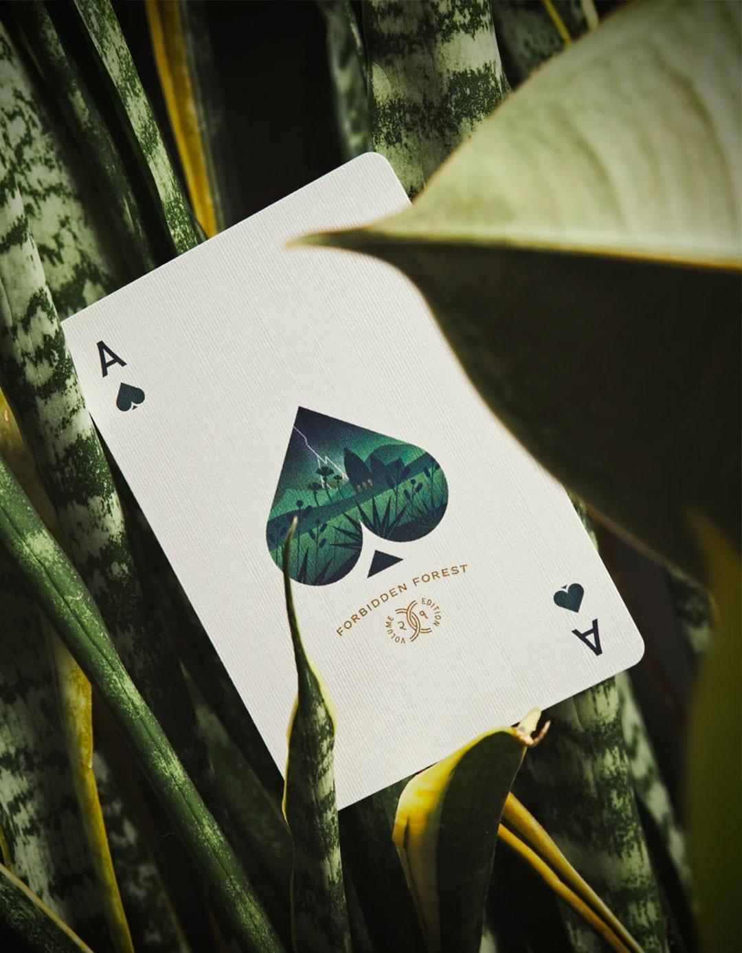 Forbidden Forest - Carti de joc