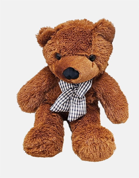 Appearing Teddy Bear (Varianta 60 cm)