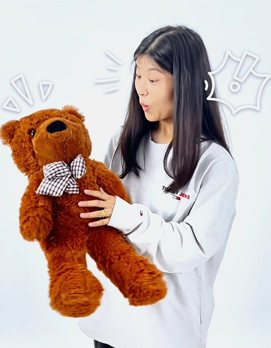 Appearing Teddy Bear (Varianta 60 cm)