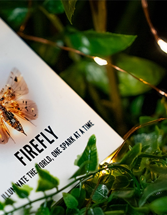 Firefly by Titanas