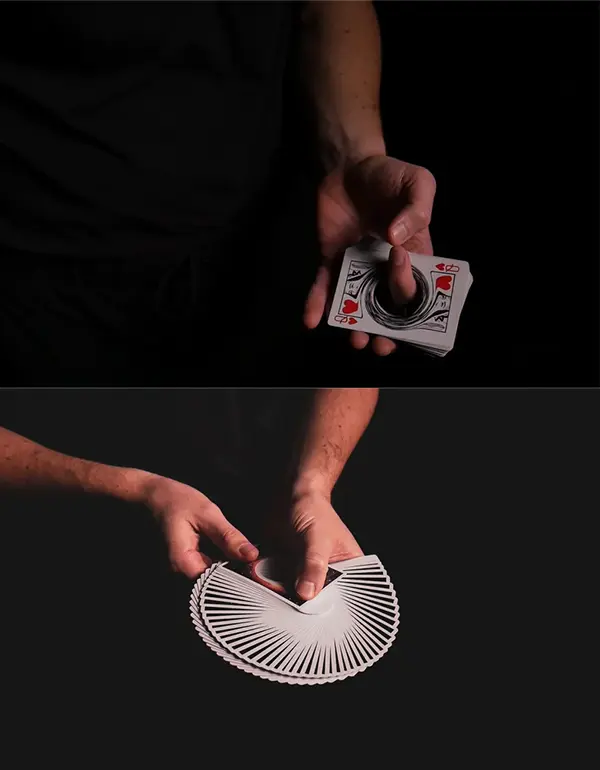 Orbit Black Hole face back