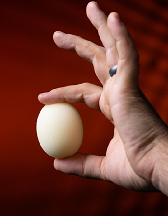 Ou De Burete - Sponge Egg by Murphy's Magic