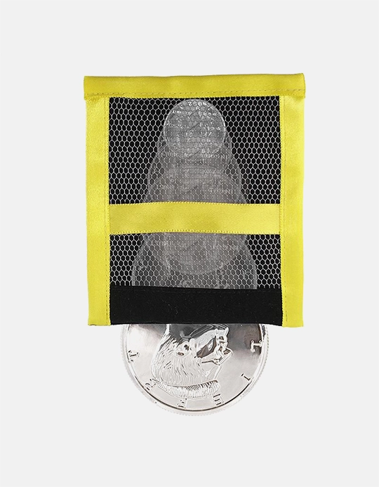 Saculetul si Moneda - Coin Bag