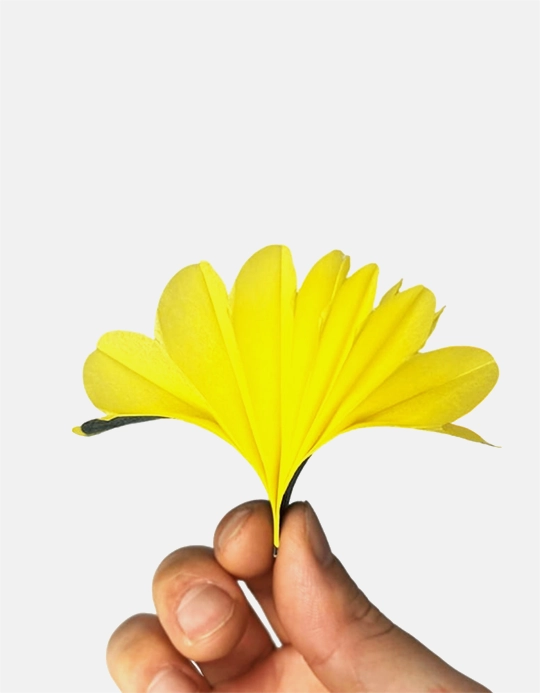 Spring flower paper Mixed Color