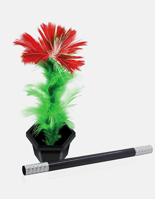 Floarea Care Apare - Magic Appearing Flower