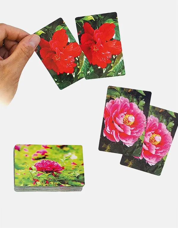 Botania Deck - Carti de joc speciale