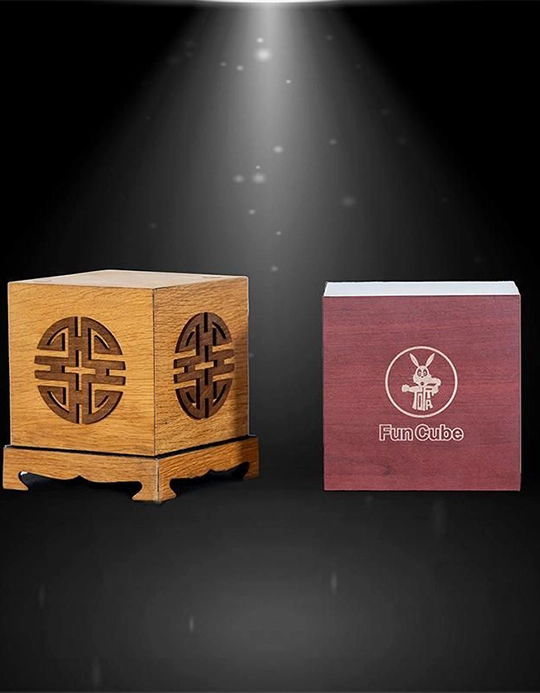 Cubul Amuzant - Fun Cube by Tora Magic