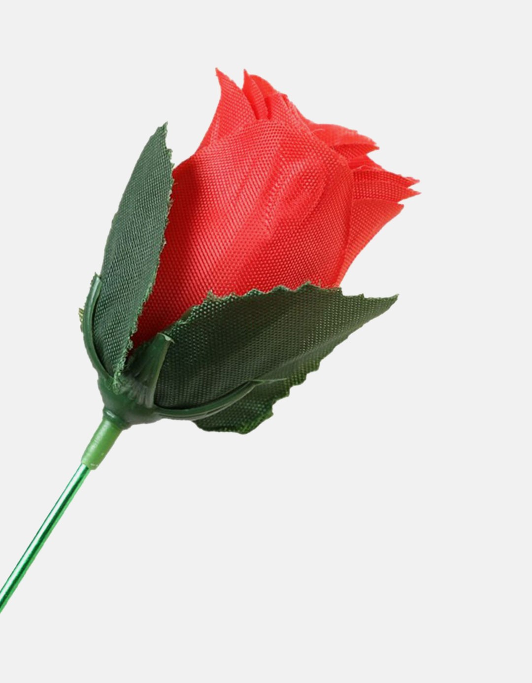 Torch to Rose - Plus
