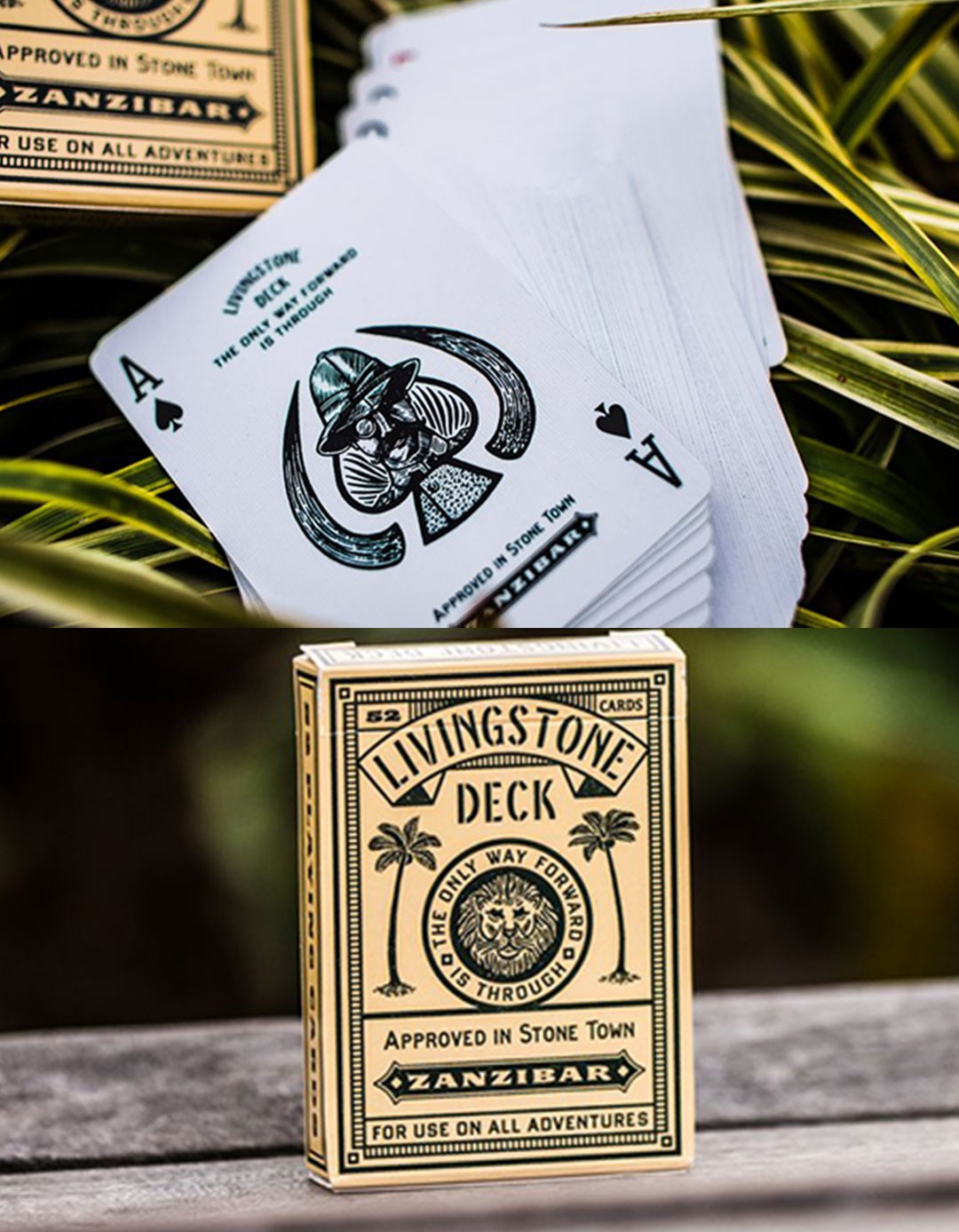 Livingstone - Carti de joc