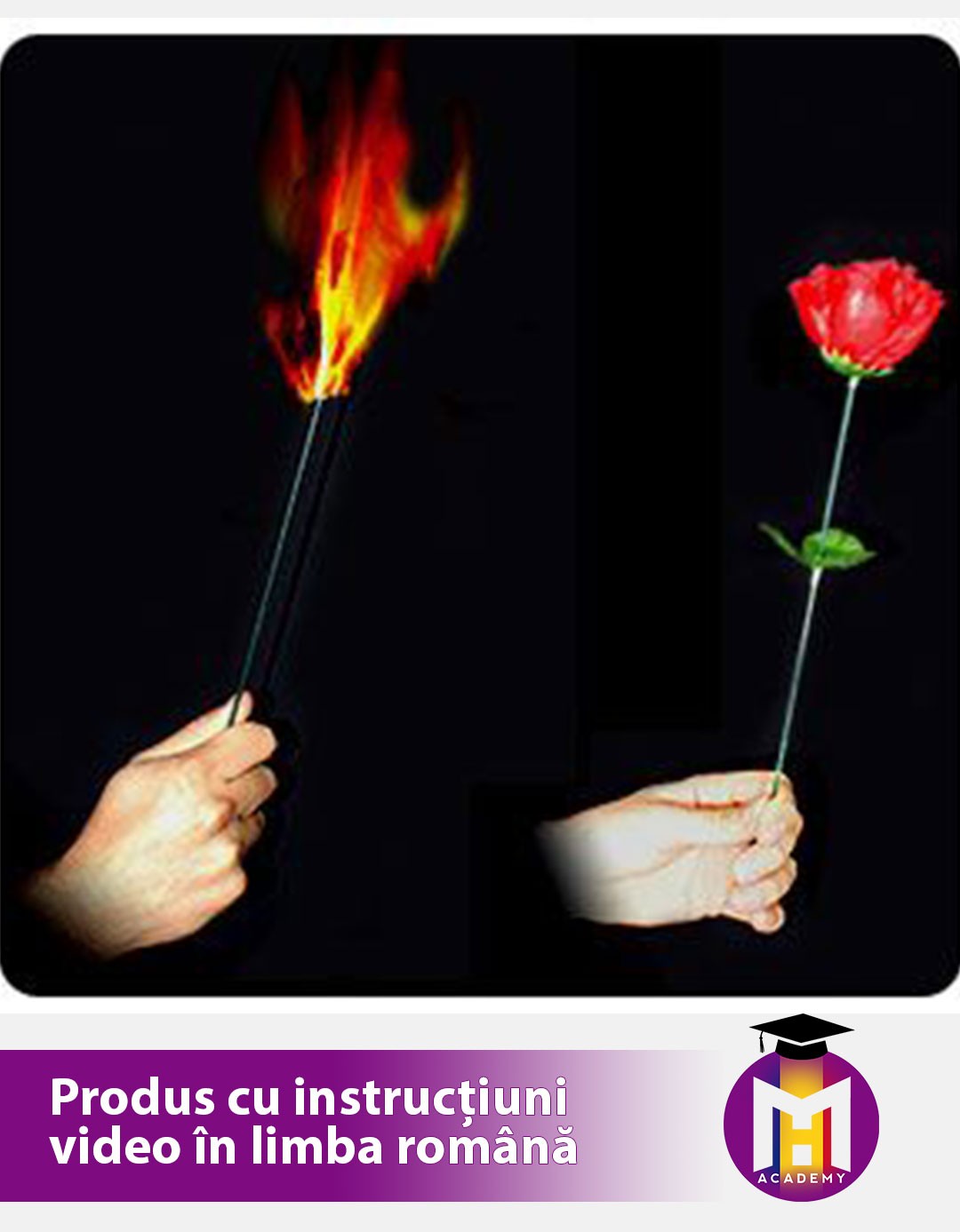 Torch to Rose -  Usor