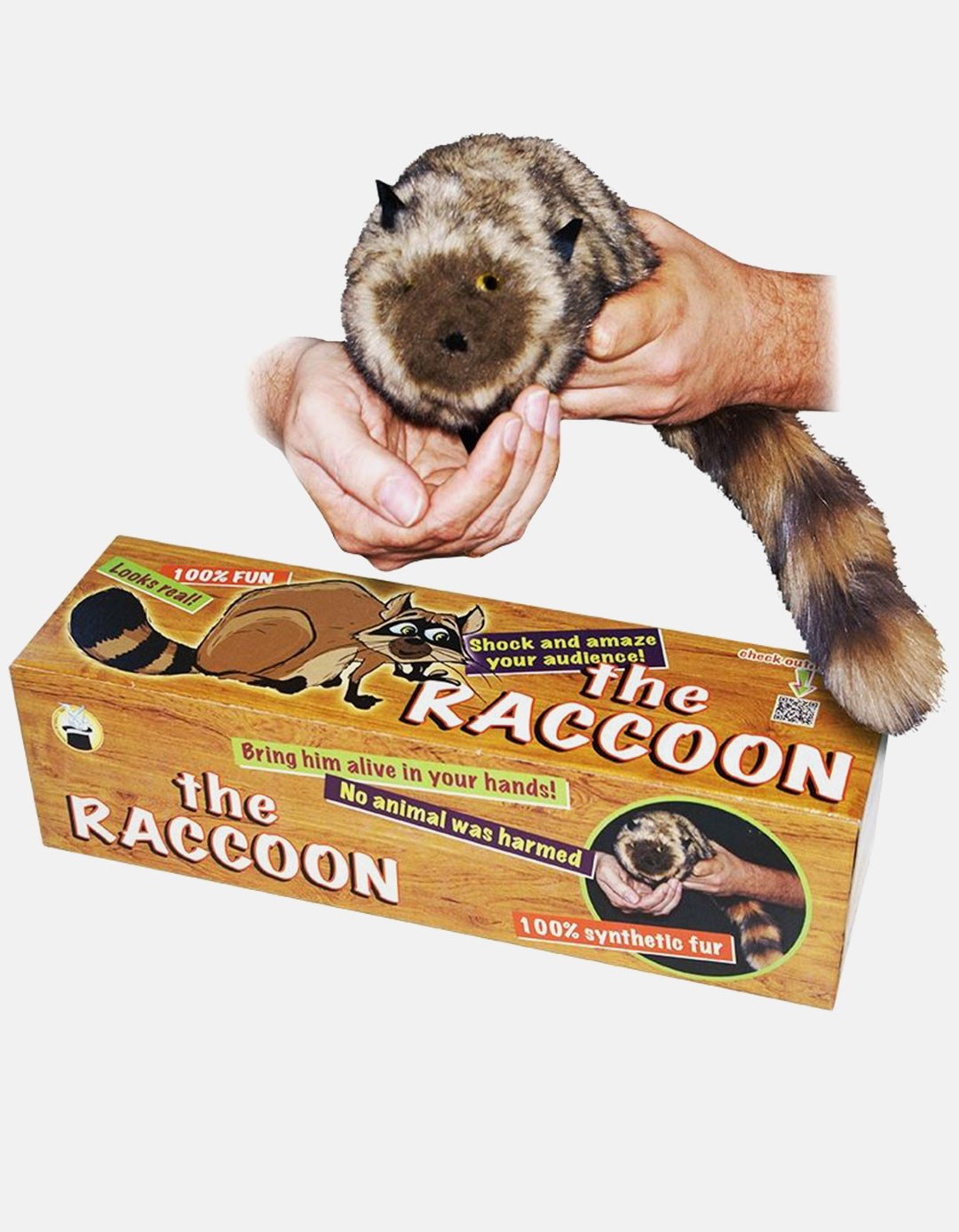 Raton magic - Raccoon magic