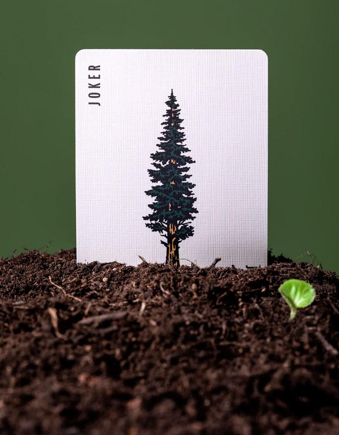 Smokey Bear Playing Cards by Art of Play