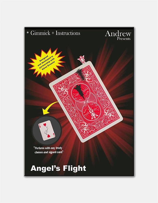 Angel's Flight by Andrew and Ednei Ernesto