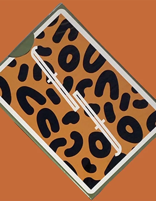 Fontaine Nickelodeon: Thornberries - Carti de joc