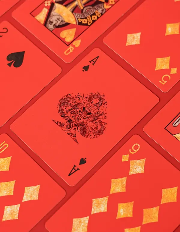 Dragonlord 2024 - TCC - faces