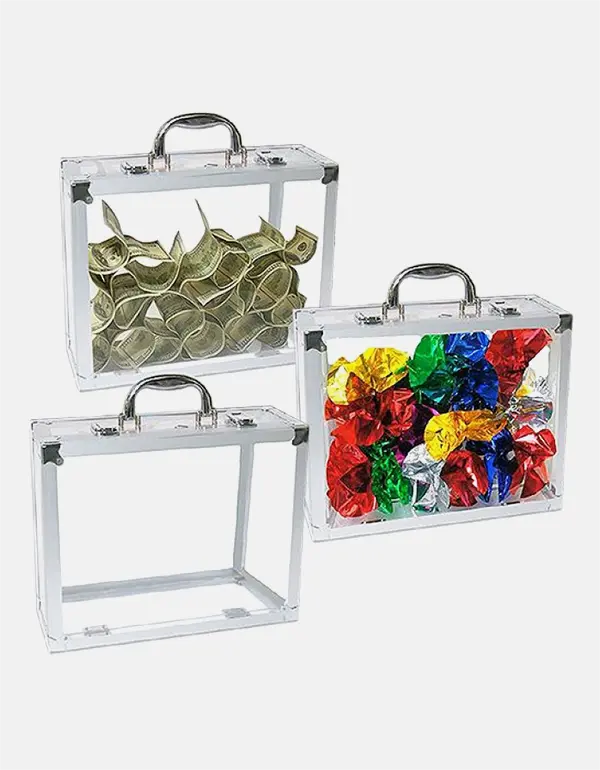 Tora Glassy Briefcase - 2 times