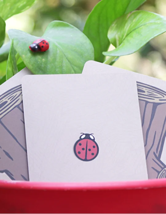 Lucky Ladybug (Gimmicks Si Instructiuni Online) by Joshua Ray