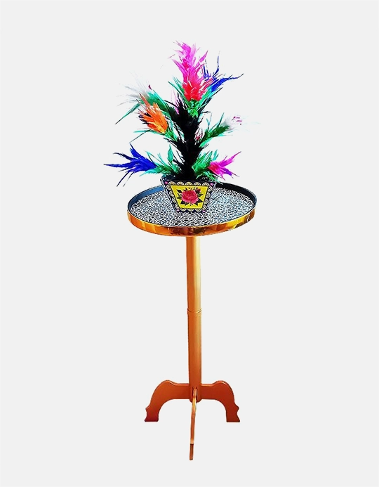 Vanishing Flower Pot - Disparitia Flori Din Ghiveci