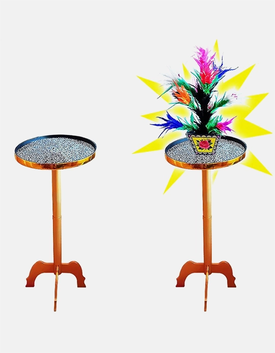 Vanishing Flower Pot - Disparitia Flori Din Ghiveci