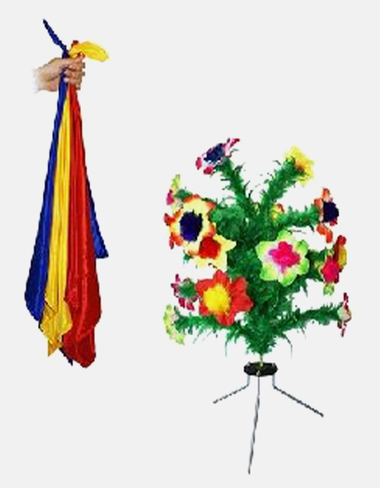 Productia de flori - Flower Production