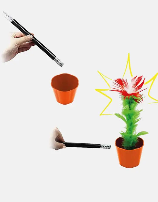 Floarea Care Apare - Magic Appearing Flower