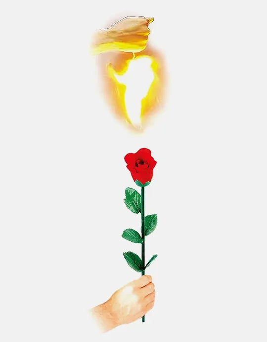Trandafir instant - Instant Rose
