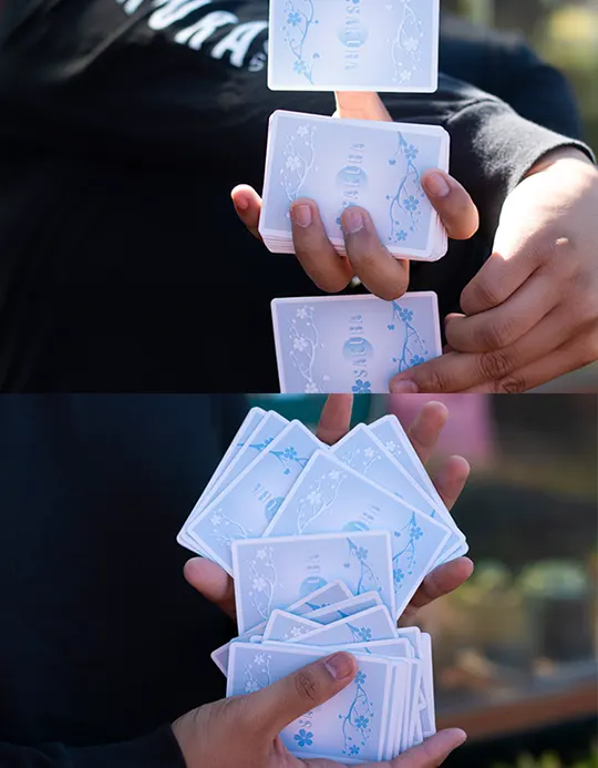 Sakura V2 - Carti de joc